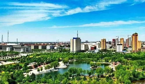 衡水四縣市區成功摘帽，營口天禹網絡助力數字扶貧新篇章